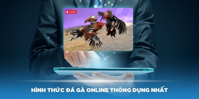 Một số hình thức đá gà online thông dụng nhất