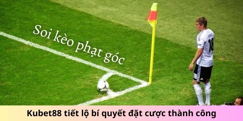 Cao thủ chia sẻ mẹo cược hiệu quả luôn thắng