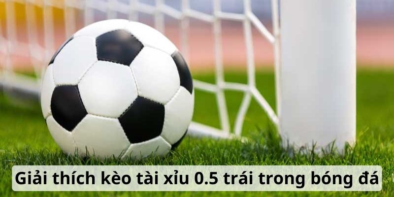 Giải thích kèo tài xỉu 0.5 trái trong bóng đá