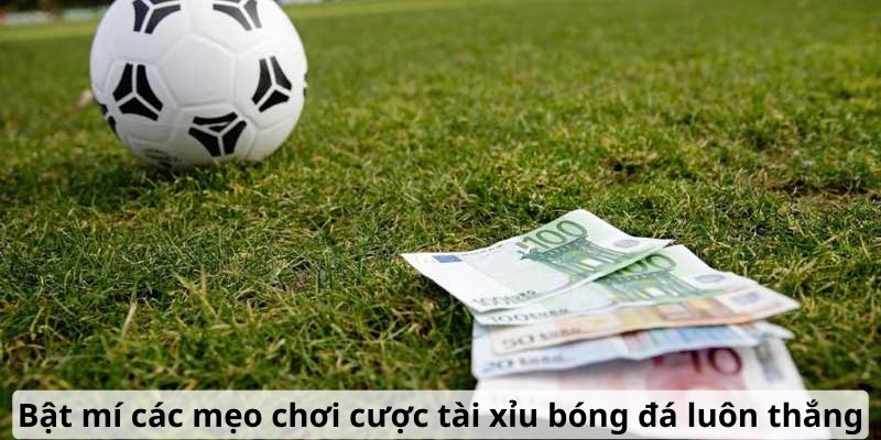 Bật mí các mẹo chơi cược tài xỉu bóng đá luôn thắng